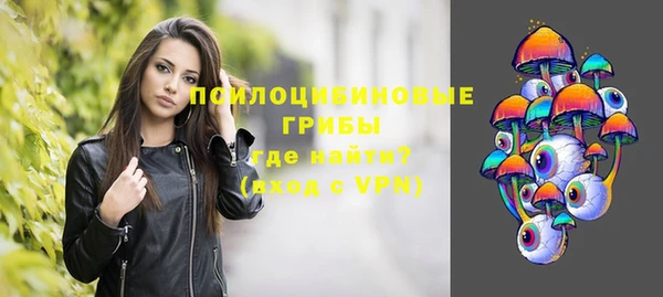 сатива Алексеевка