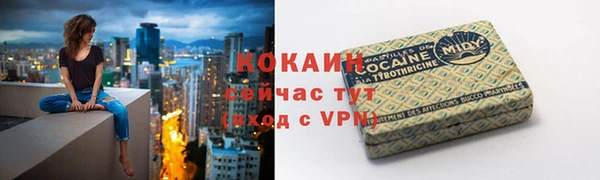 кокс Алексин
