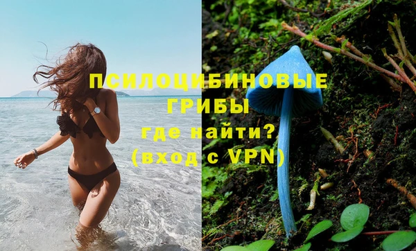 кокс Алексин