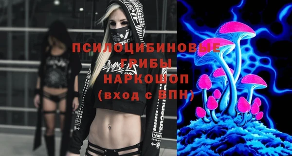 гидропоника Алзамай